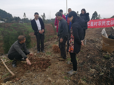 马岭镇七星村开展脆红李种植技术培训